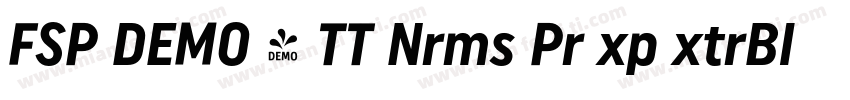 FSP DEMO - TT Nrms Pr xp xtrBld字体转换